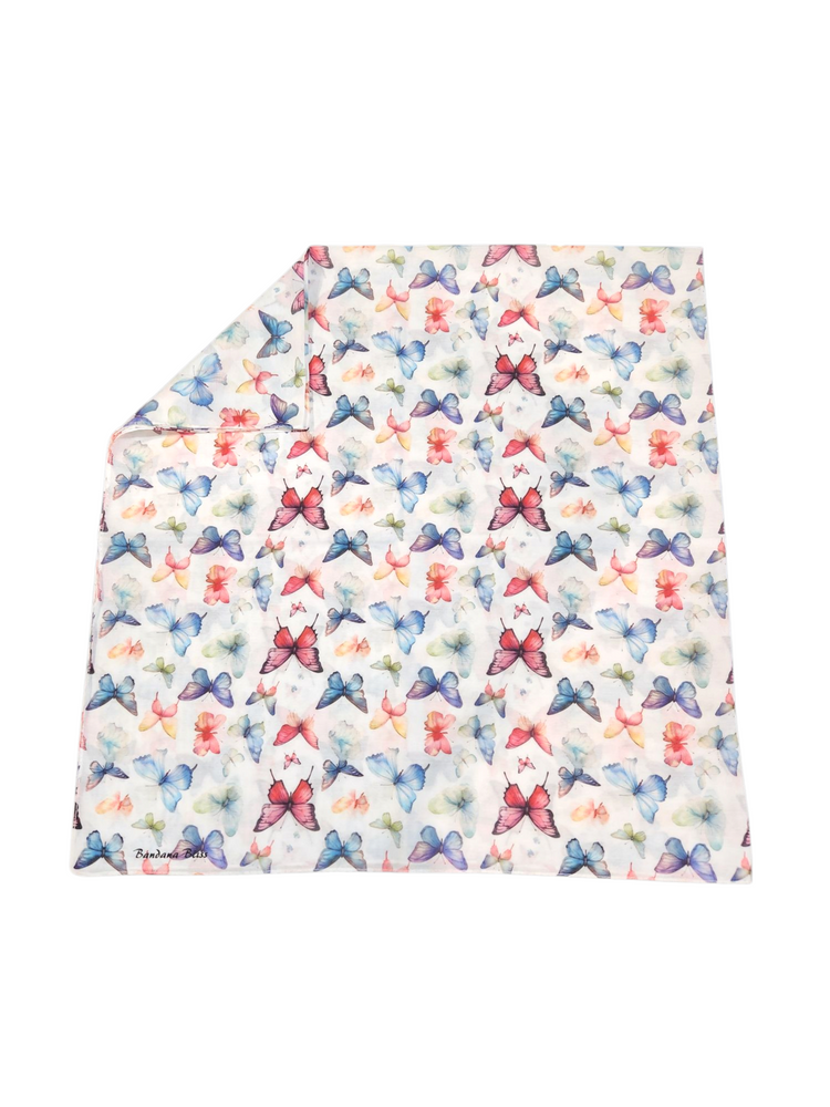 Whimsy Wings