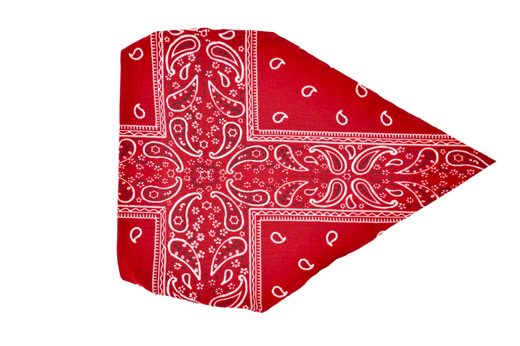 Burgundy Bandana